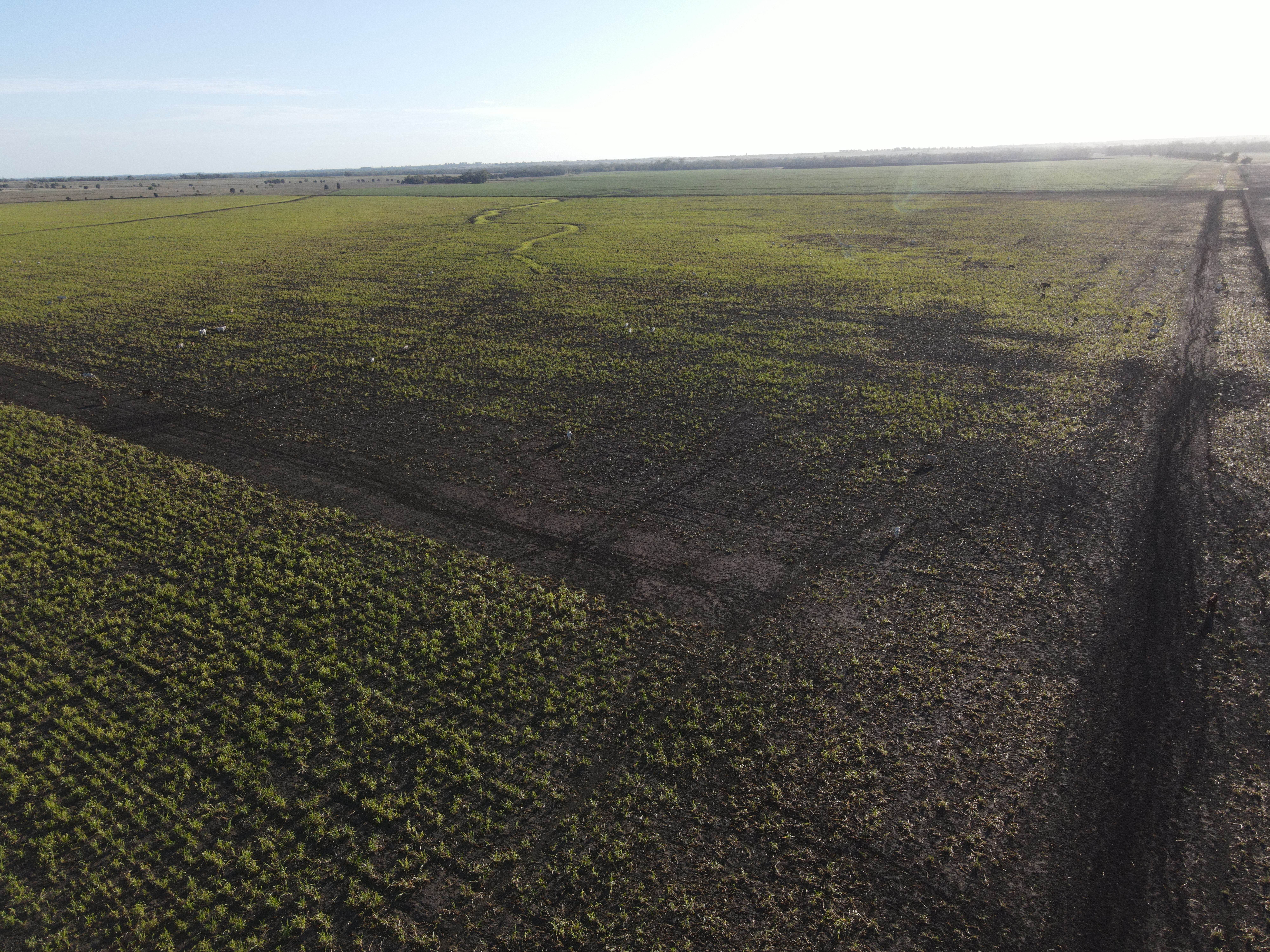 DJI_0223.jpg